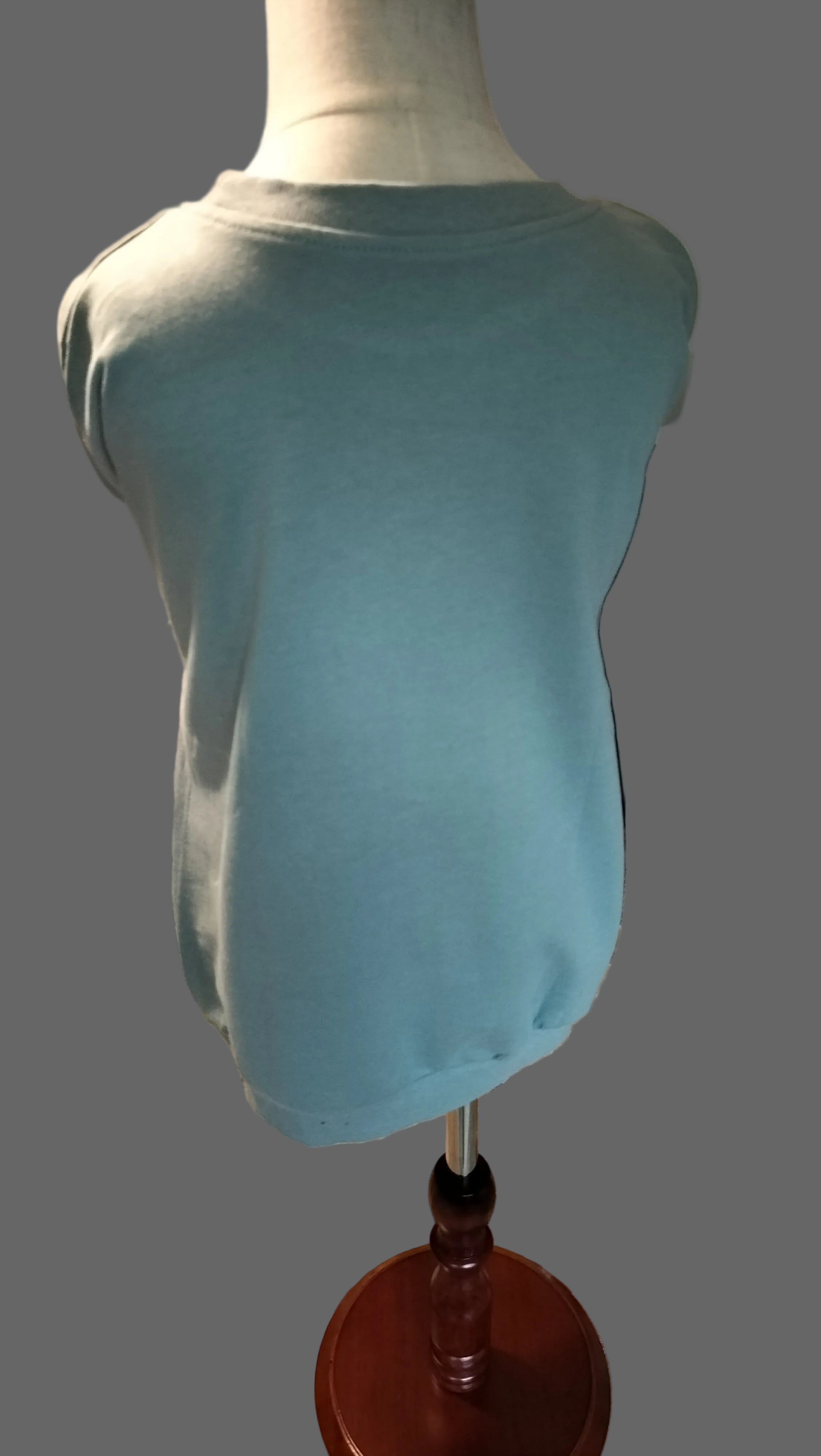 The Little Holly Trotter Top